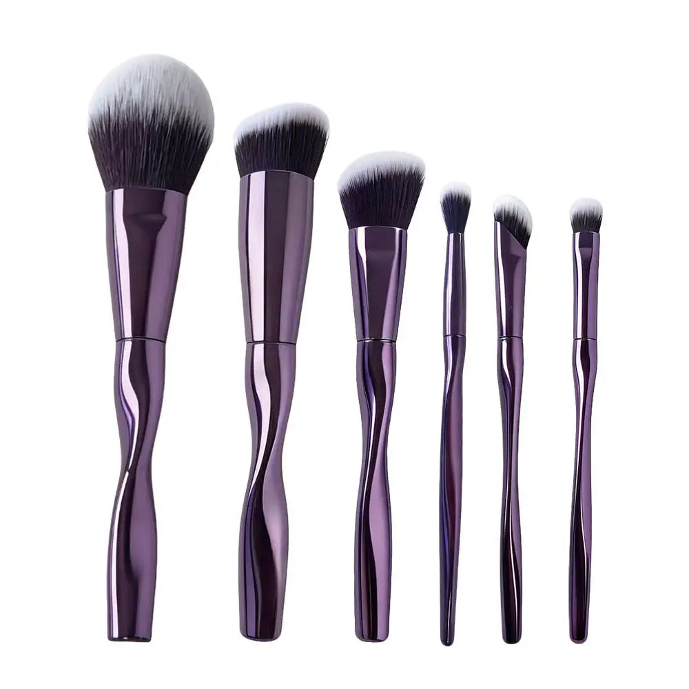 Professional 6pcs Makeup Brushes Set